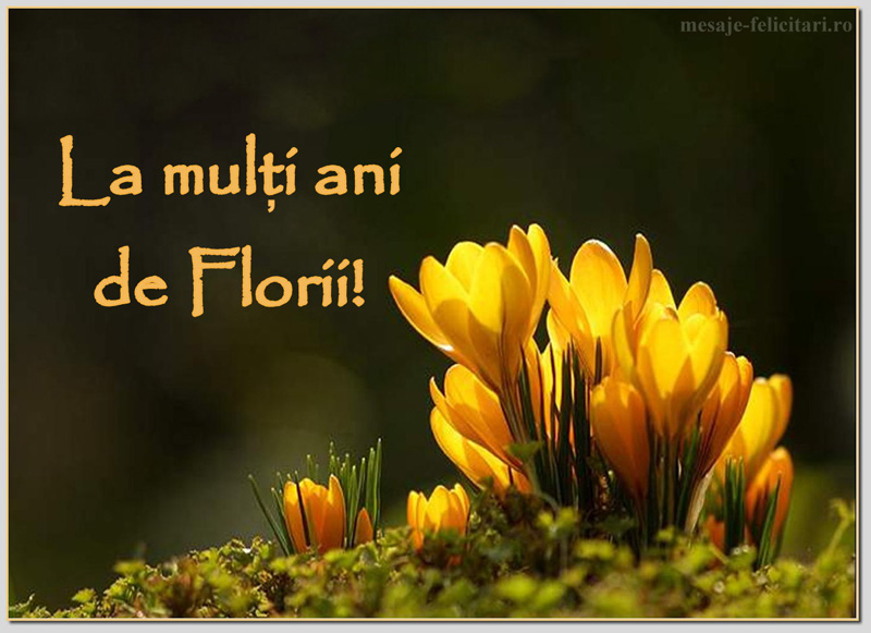 felicitari de florii