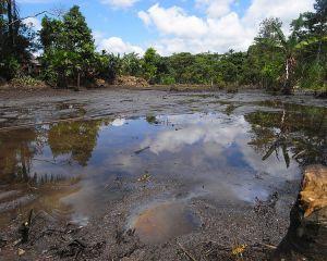Chevron versus satenii ecuadorieni. Miza este de 18 miliarde de dolari