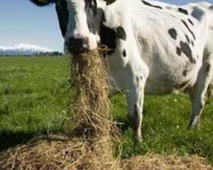 ANSVSA pregateste politia pentru controale in echipe mixte