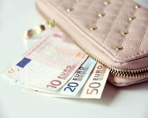 Ferme de familie: fondurile europene se apropie de nivelul maxim alocat