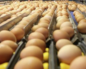 Cargill investeste in Ucraina