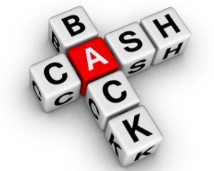 Pingoo Cashback estimeaza o crestere de 500% pentru acest an