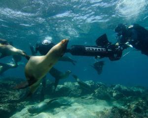 Street View aduce imagini inedite din Galapagos