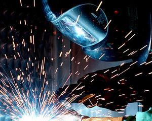 Ministrul Economiei: Pentru intreaga economie europeana este foarte important sa se evite relocarea unitatilor de productie din diferite sectoare industriale