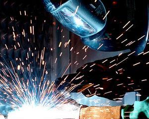 Vosganian: Uniunea Europeana risca sa ramana fara industrie