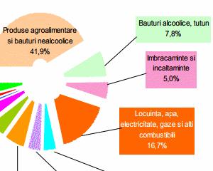 Cat au castigat romanii in 2012: 861,2 lei lunar pe persoana