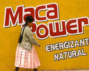 Plante miraculoase: Maca, viagra naturala a incasilor