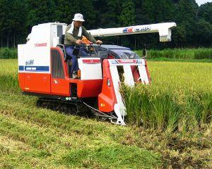 Ministrul Agriculturii: Conditiile meteo sunt favorabile. Nu stiu insa cum vor evolua preturile
