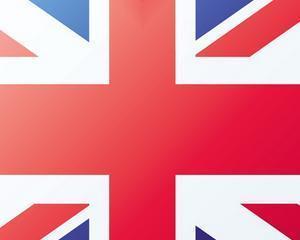 Profesorii universitari din Marea Britanie intra in greva