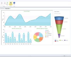 Vanzarile si marketingul Daas Romania, gestionate de SeniorCRM