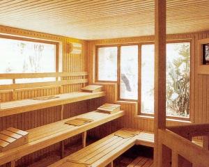 Editorial Dan Manusaride: Sauna romaneasca (corespondenta din Germania)