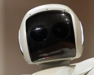 Cat mai costa traficul inchipuit al site-urilor de pe internet. 500 de robotei la un dolar