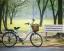 Bicicletele luate pe voucher - fiecare va avea o placuta cu