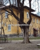 Inchiriere Apartamente - Apartament - 3 camere Cotroceni