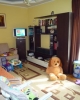 de vanzare apartament 2 camere in zona Floreasca Park, suprafata 51 mp