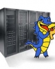 Web hosting si domenii