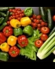 COMERCIAL PRODUSE AGROALIMENTARE SPANIA (ALMERIA)