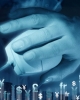 Investiti 1500 si castigati intre 500-800 in fiecare luna