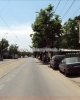 GLX120604 Inchiriere - Spatiu comercial - 65 mp Damaroaia