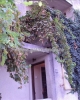 Vanzare - Casa / Vila - 5 camere Domenii