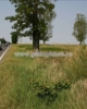 Vanzare - Teren - 2450 mp Sud
