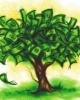 Salariu 1000 euro