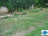 GLX030608 Vanzare teren Cotroceni