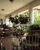 GLX120603Inchiriere Apartament 2 camere Baneasa