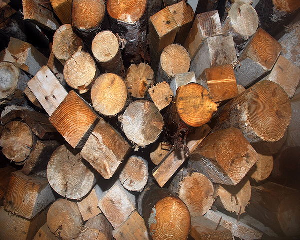 Investitia viitorului este lemnul