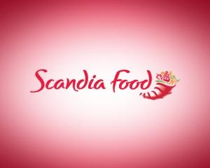 Scandia Food si-a deschis restaurant cu servire rapida in Baneasa Shopping City