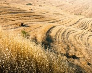 Ministrul Agriculturii: Suprafetele agricole irigate s-ar putea dubla in acest an