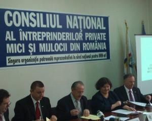 Ovidiu Nicolescu, CNIPMMR: Peste 100.000 de IMM-uri au disparut in Romania din cauza crizei si recesiunii
