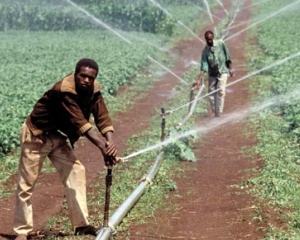 ANALIZA: Fermierii africani, furati sau salvati?
