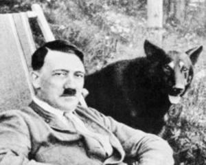 Wooffan SS: Experimentul pe care Hitler l-a tinut secret