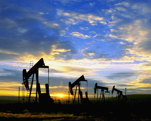 Erste anticipeaza ca barilul de petrol va ajunge la 123 de dolari