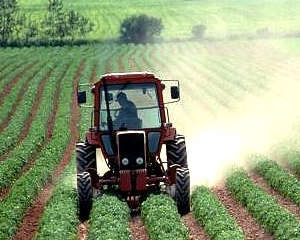 Ministrul Agriculturii solicita sprijinul investitorilor chinezi pentru refacerea sistemului de irigatii din Romania