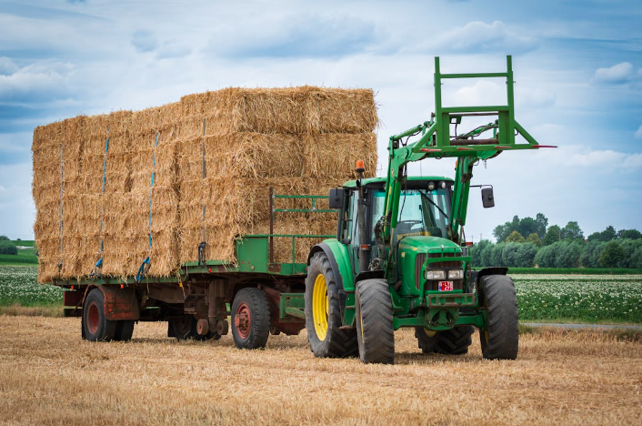 5 idei profitabile de afaceri in agricultura