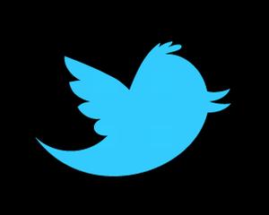 Black Friday: Ce procent de cumparatori se datoreaza Twitter