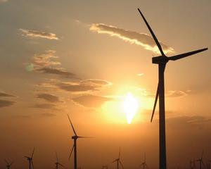 Ernst & Young: 75% din marile corporatii vor sa investeasca in energia verde
