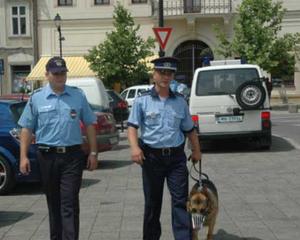 Deficit: Romania se afla pe locul 18 in UE la numarul de politisti pe mia de locuitori