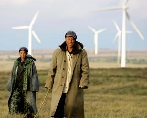 Danemarca si China conduc in topul ponderii in PIB a veniturilor din energia verde