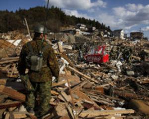 Numarul mortilor in urma cutremurului din Japonia depaseste 10.000 
