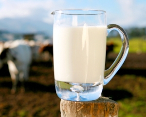 Dorna, Albalact si alti doi producatori de lactate au intrat in atentia Consiliului Concurentei pentru trucare de licitatii