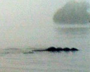 A fost fotografiata o ruda a monstrului din Loch Ness