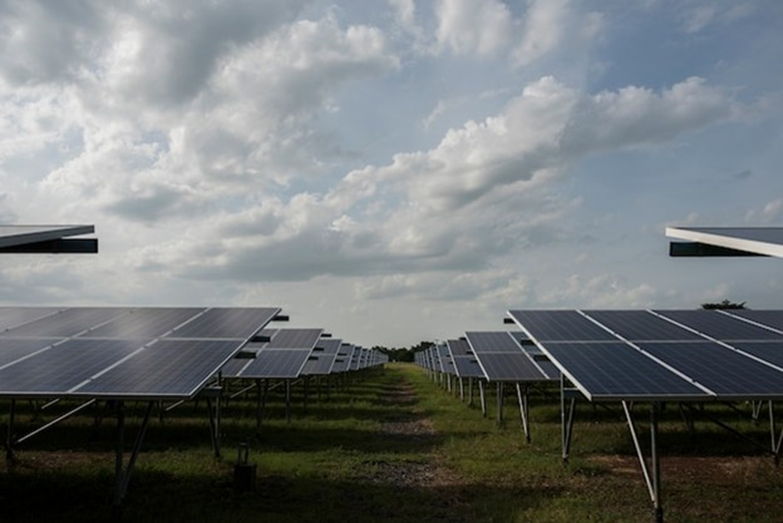 Ascensiunea agrivoltaicii: combinarea energiei solare cu agricultura in India
