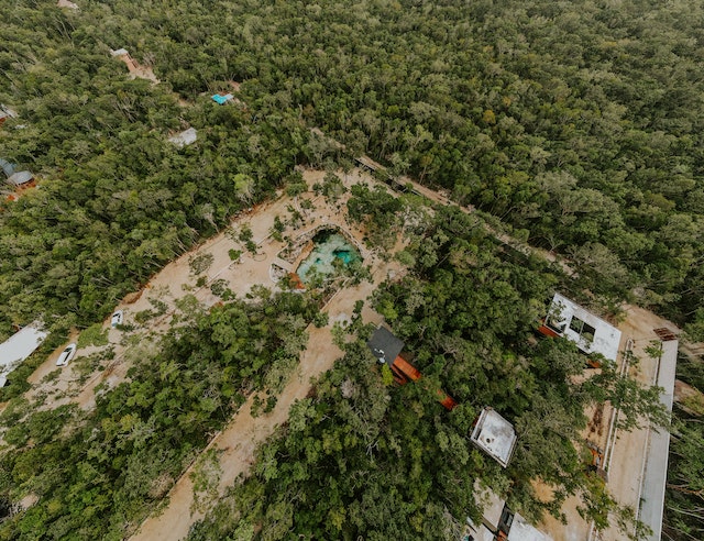 Schimbare de ultima ora la Google Romania. Oamenii vor avea acces la prognoza inundatiilor la nivel global