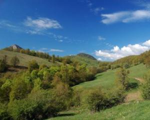 Urmasii nobilului Daniel Banffy vor 100.000 de hectare din Romania