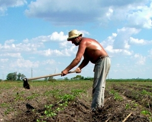 Productia agricola a crescut cu 8,9% in 2011