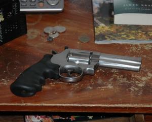 Inaintea masacrului de la Sandy Hook, Smith & Wesson spera sa vanda multe arme tinerilor precum Adam Lanza