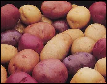 6 Mituri despre cartofi